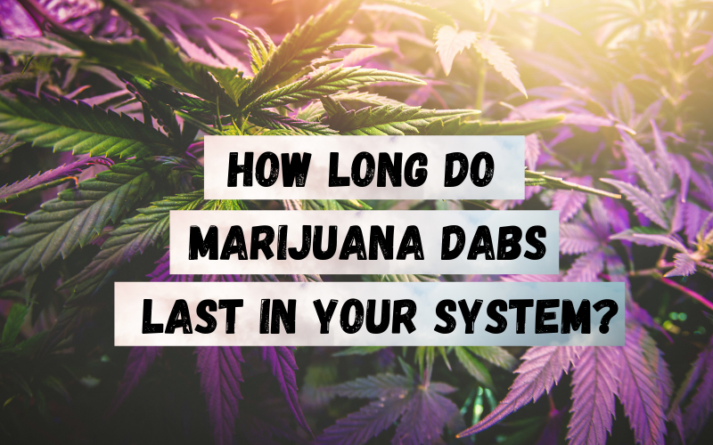 How Long does Weed Stay in your System