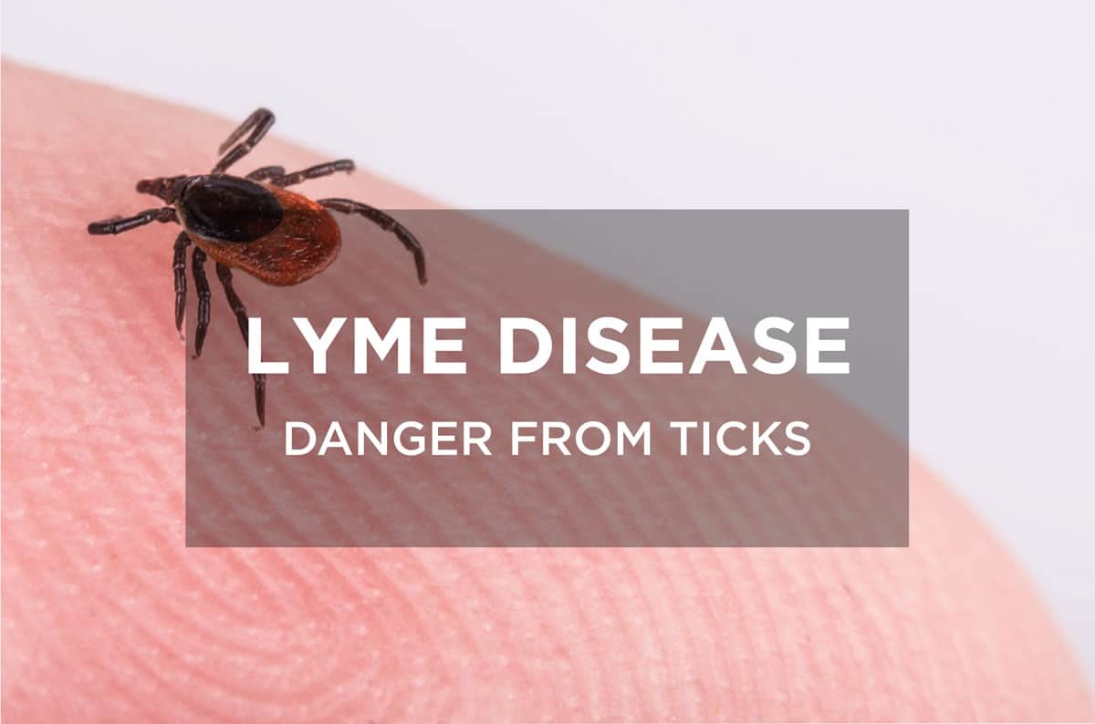 Lyme Disease Symptoms
