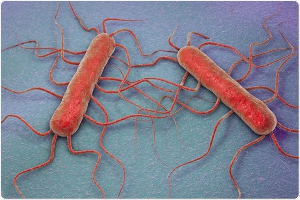 What is Listeria