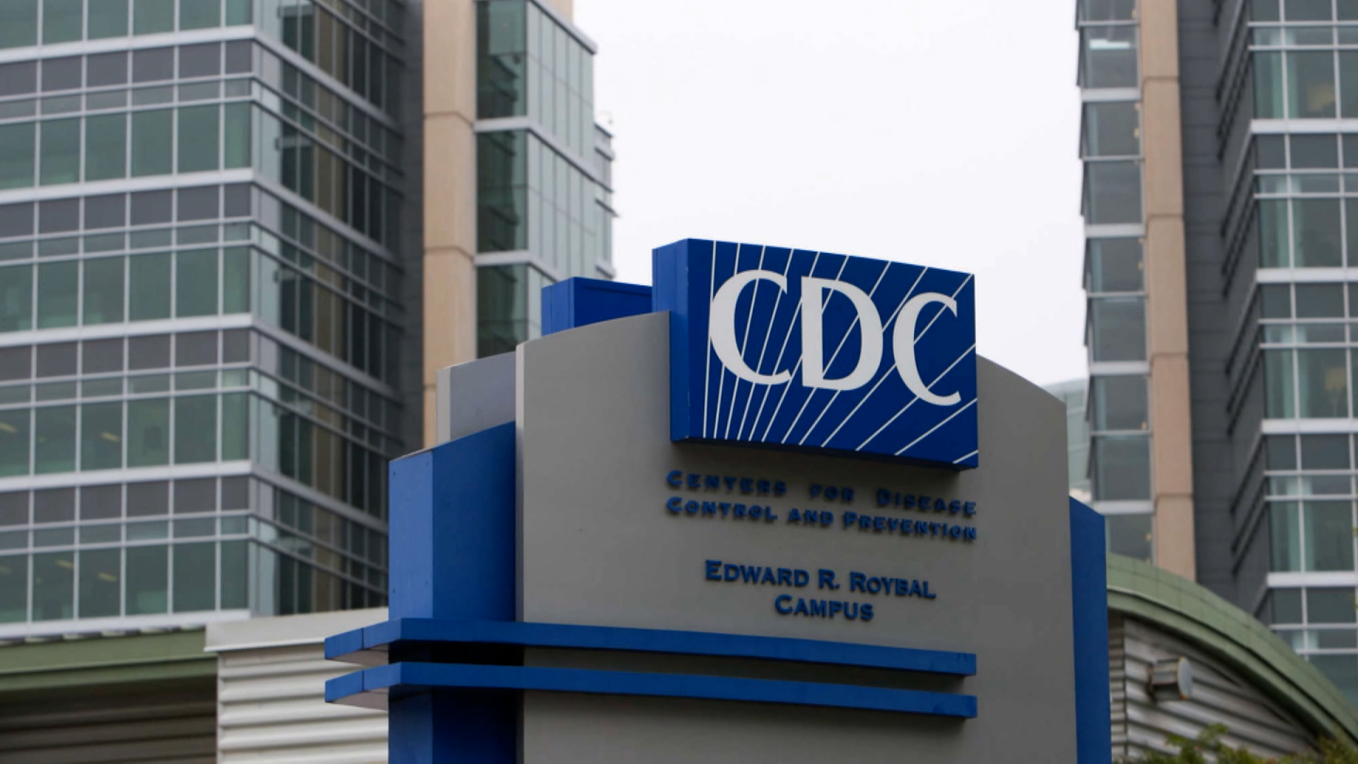 CDC Travel Guidelines