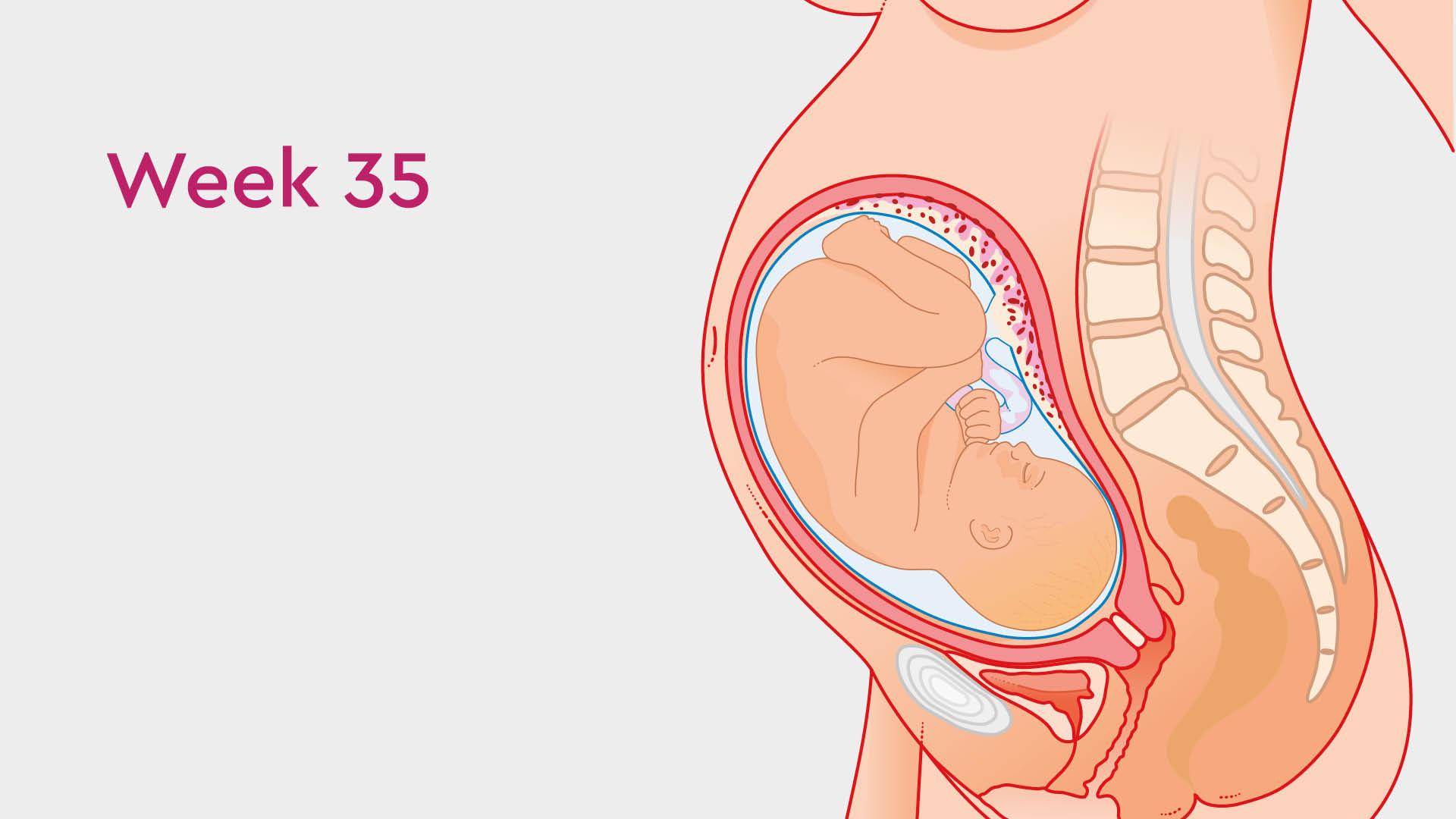 35 Weeks Pregnant Symptoms Not To Ignore